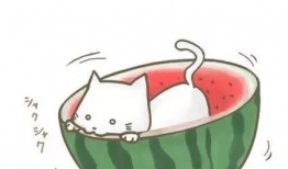 吃瓜爆料群qq图片头像,QQ头像背后的故事